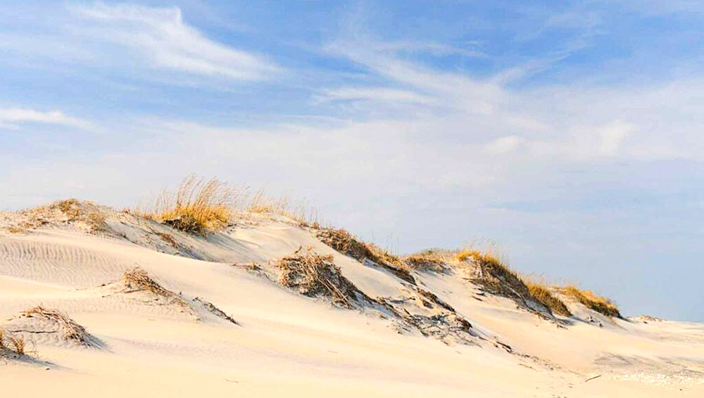 Sand Dunes Sand Dunes